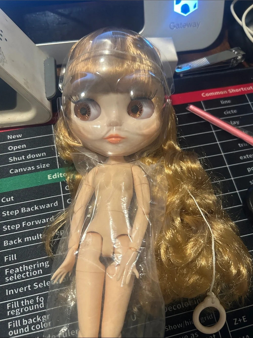 11” Blythe doll nude doll matte face makeup joint body long straight hair